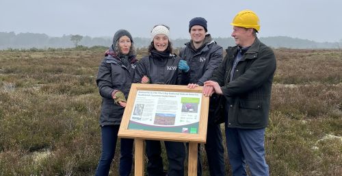 four people standing behind an interpretation board on Thursley common
