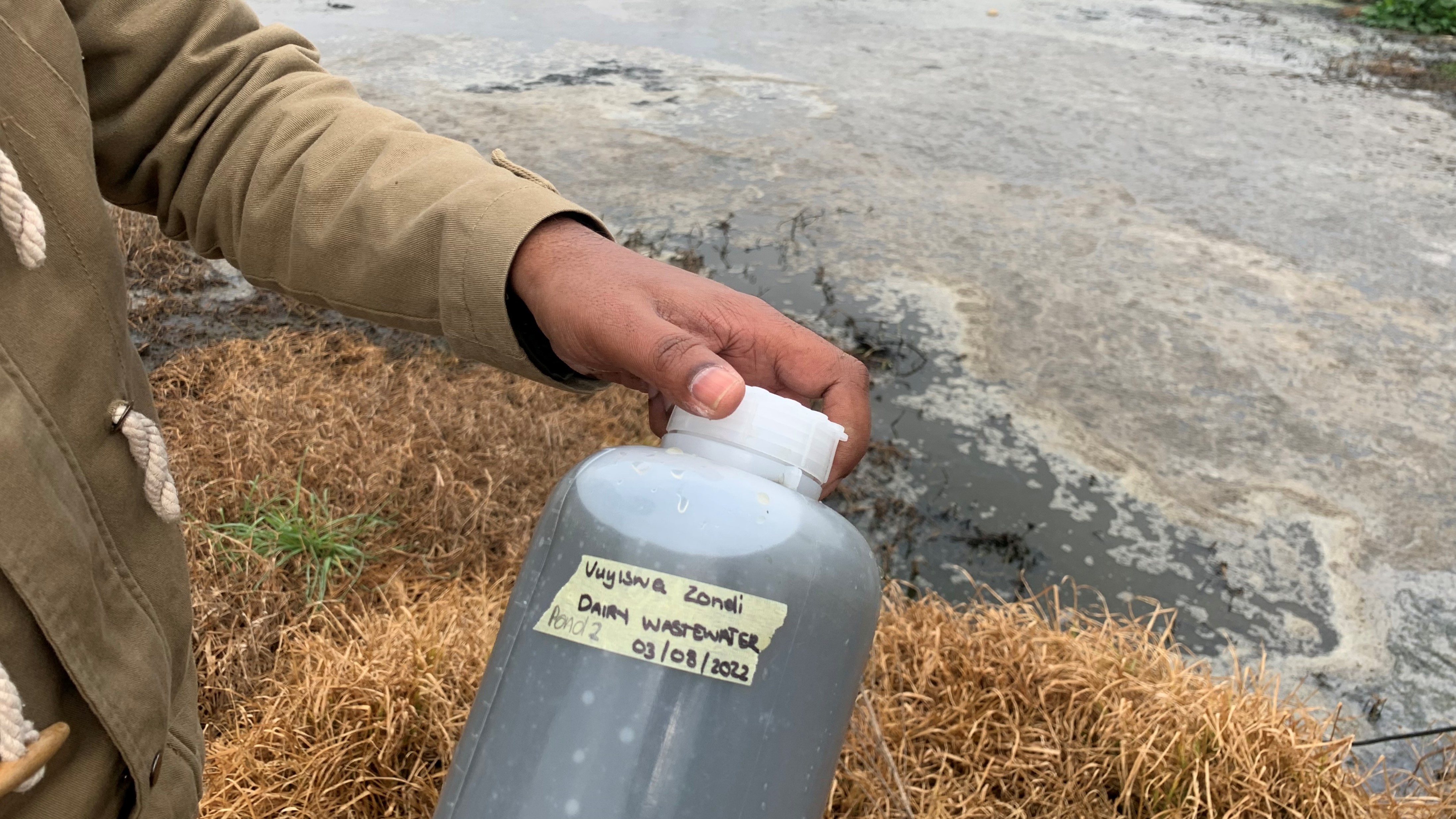 Hand holding a large beaker next to water body with the label "dairy wastewater 03/08/2022"