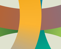 JNCC at COP17: how are the team supporting global negotiations? 