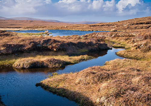 Peatland Eshaness Shetland Alan Morris Istock