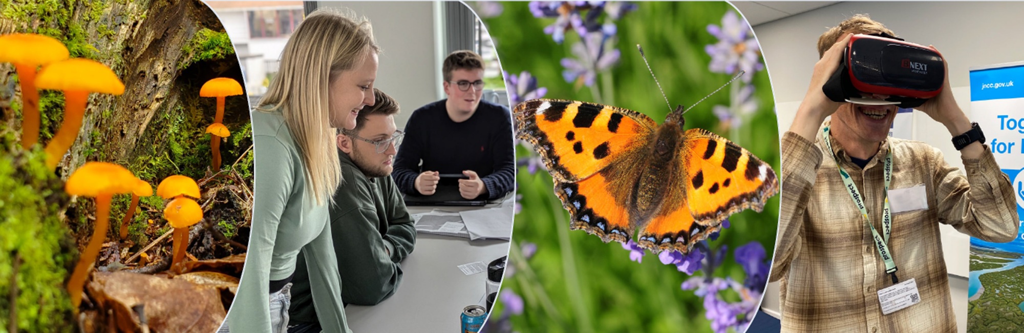 JNCC Impact Review 2024 to 2025: celebrating a year of action for nature