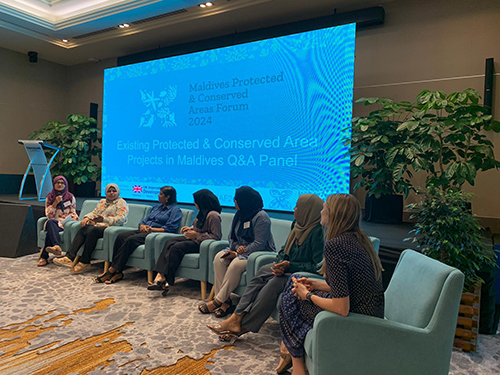 A group of professionals come together for a Q&A panel at the Maldives Protected & Conserved Areas Forum 2024 (photo courtesy of Jamie Small).