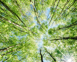 JNCC and Climate Change Committee sign MOU