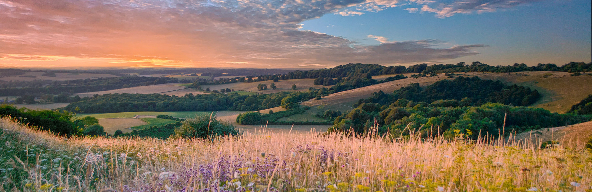 Landscape of South Downs