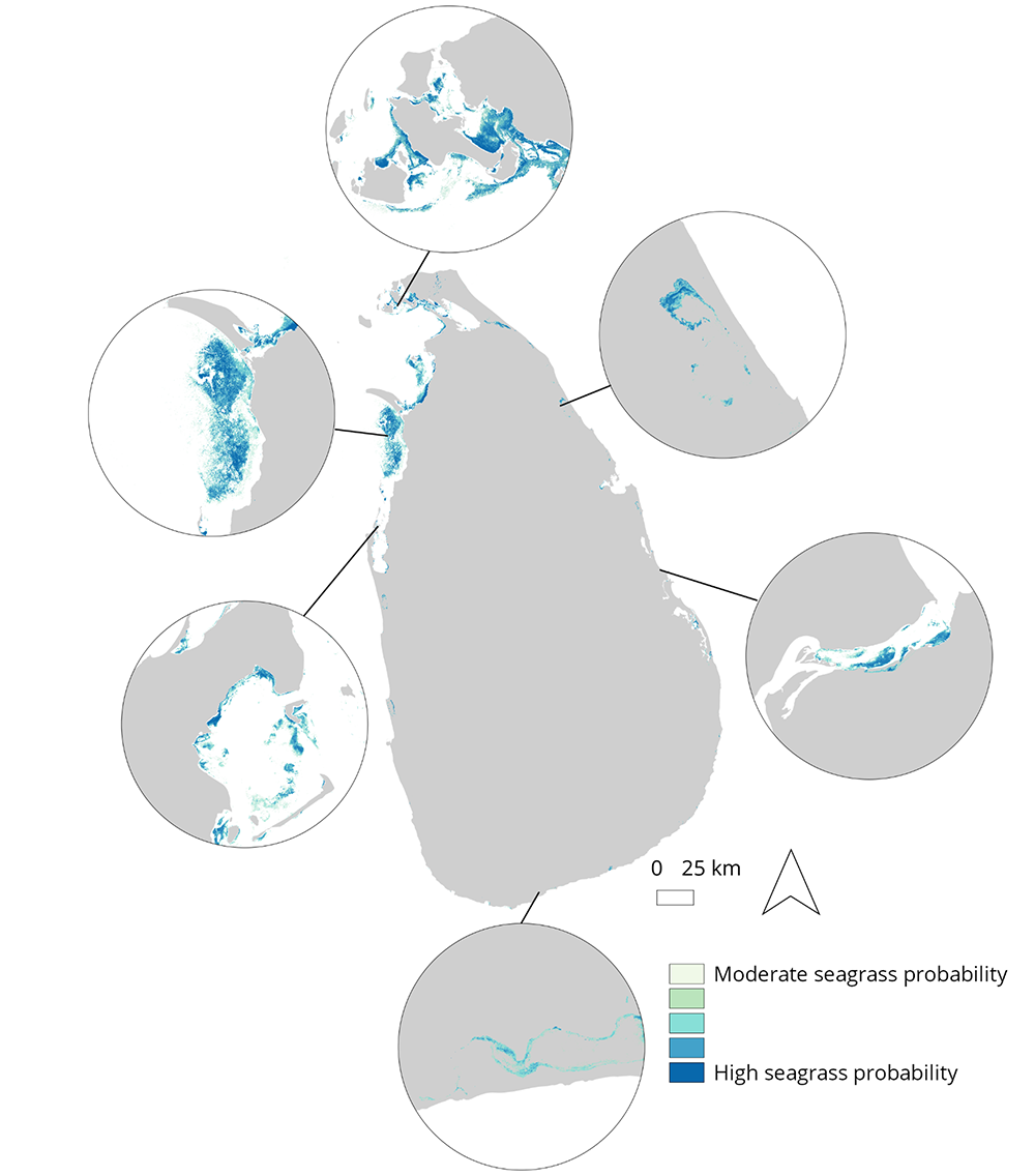 Schematic map of Sri Lanka showing the probability of sea grass.