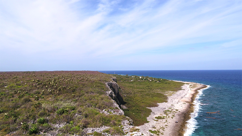 The Bluff Cayman Brac Credit Doe